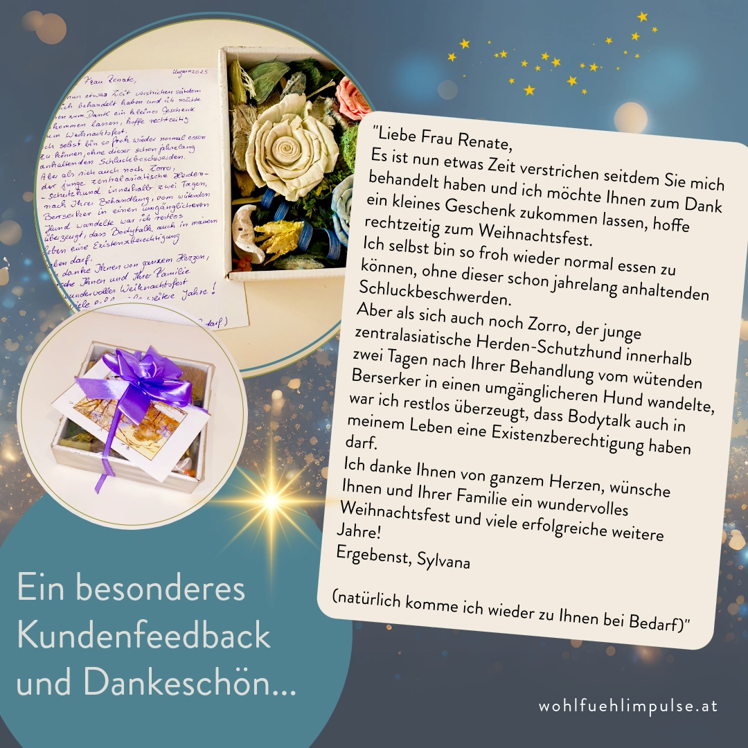 neuigkeiten-2025-12-17-kundenstimme